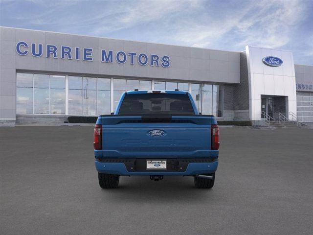 2025 FORD F-150 - Image 27