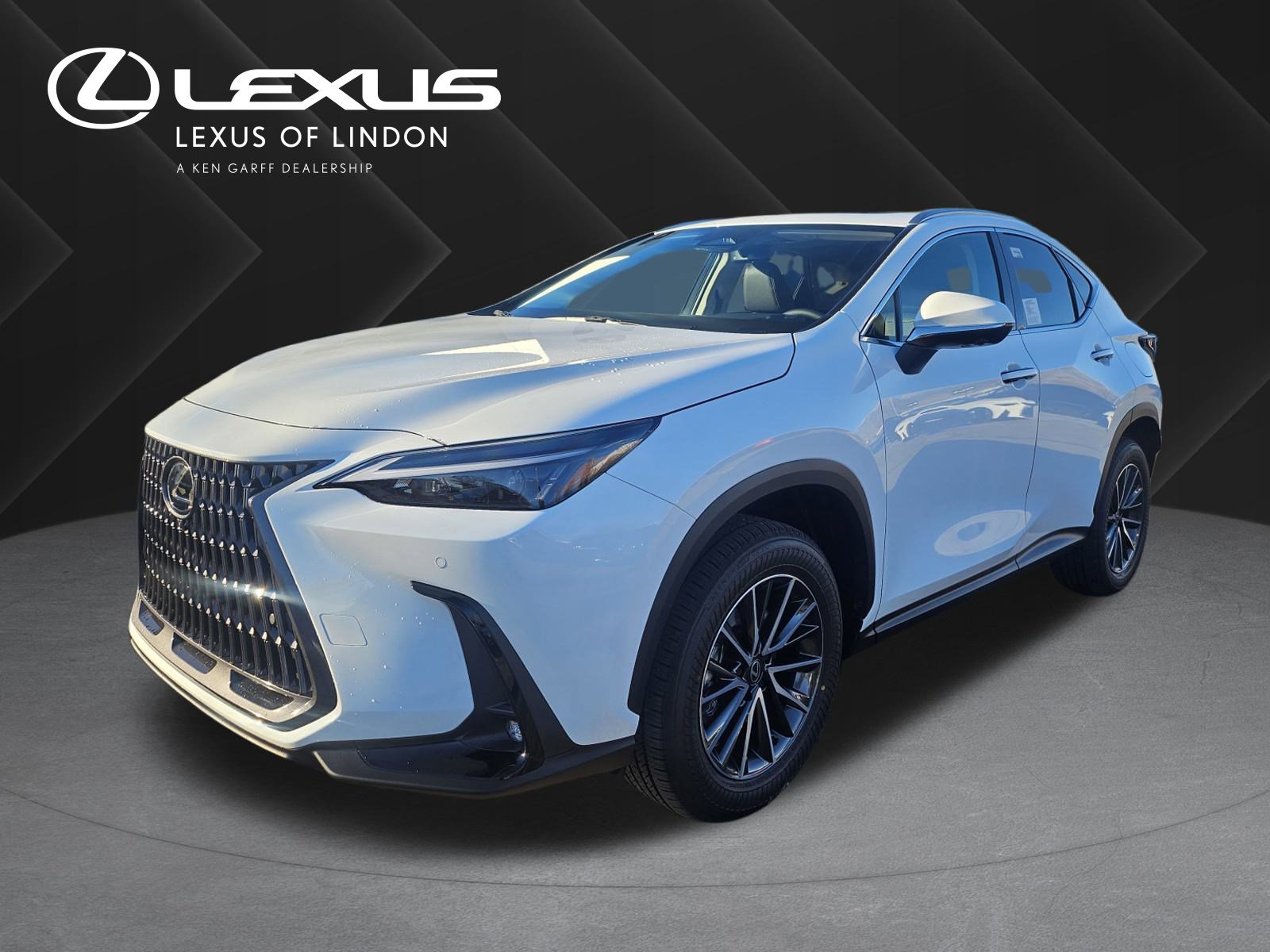 2026 Lexus NX PHEV 450h+'s photo