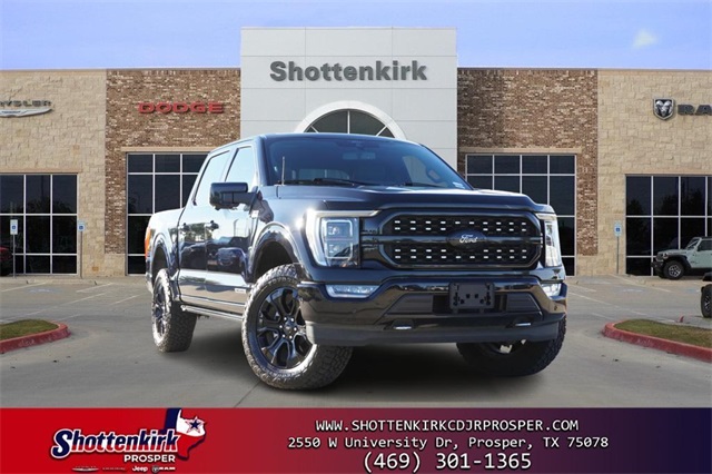 2022 Ford F-150 Platinum's photo