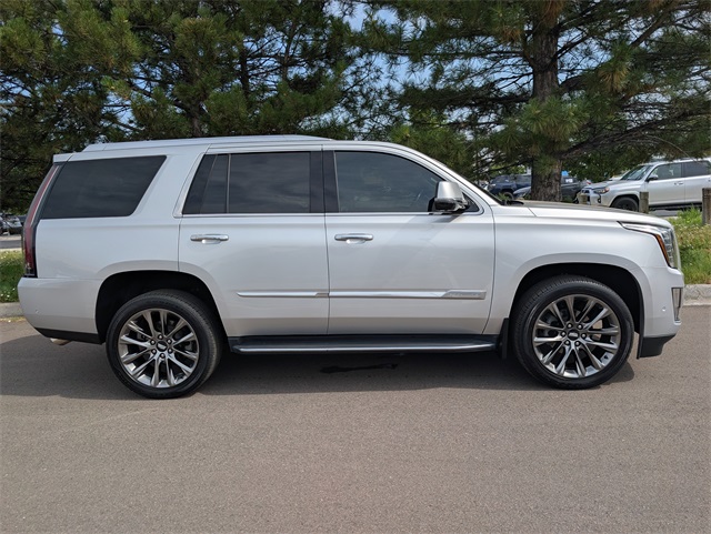 2019 Cadillac Escalade Luxury photo 2