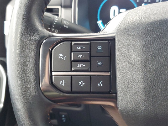 2023 Ford F-150 Platinum photo 13