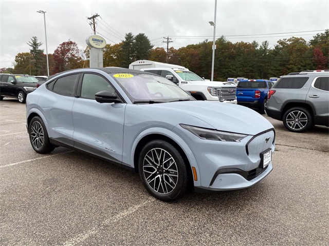 2025 Ford Mustang Mach-E Premium AWD's photo