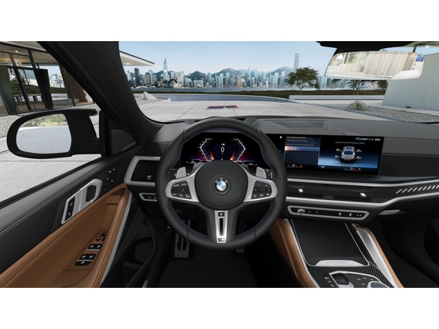 2026 Bmw X6 photo 10