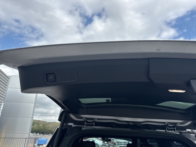 2020 Ford Expedition Limited photo 32