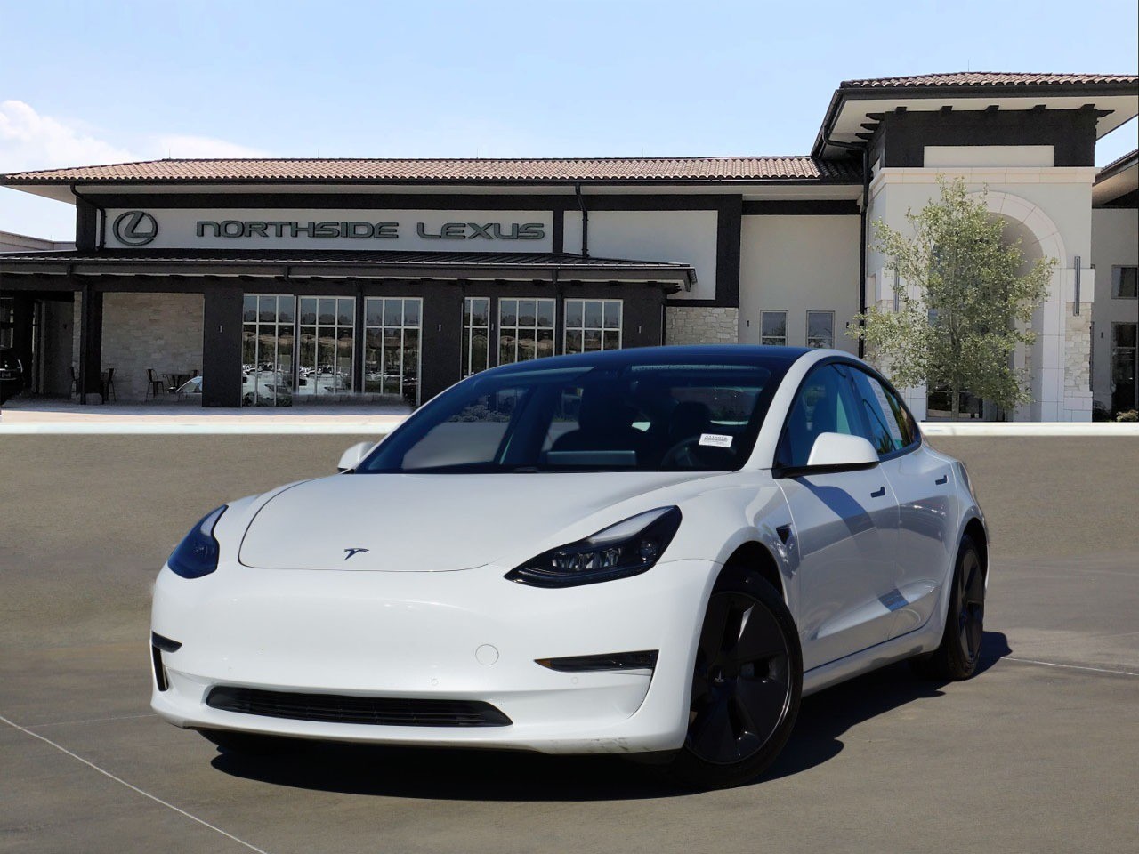 2021 Tesla Model 3 Base's photo