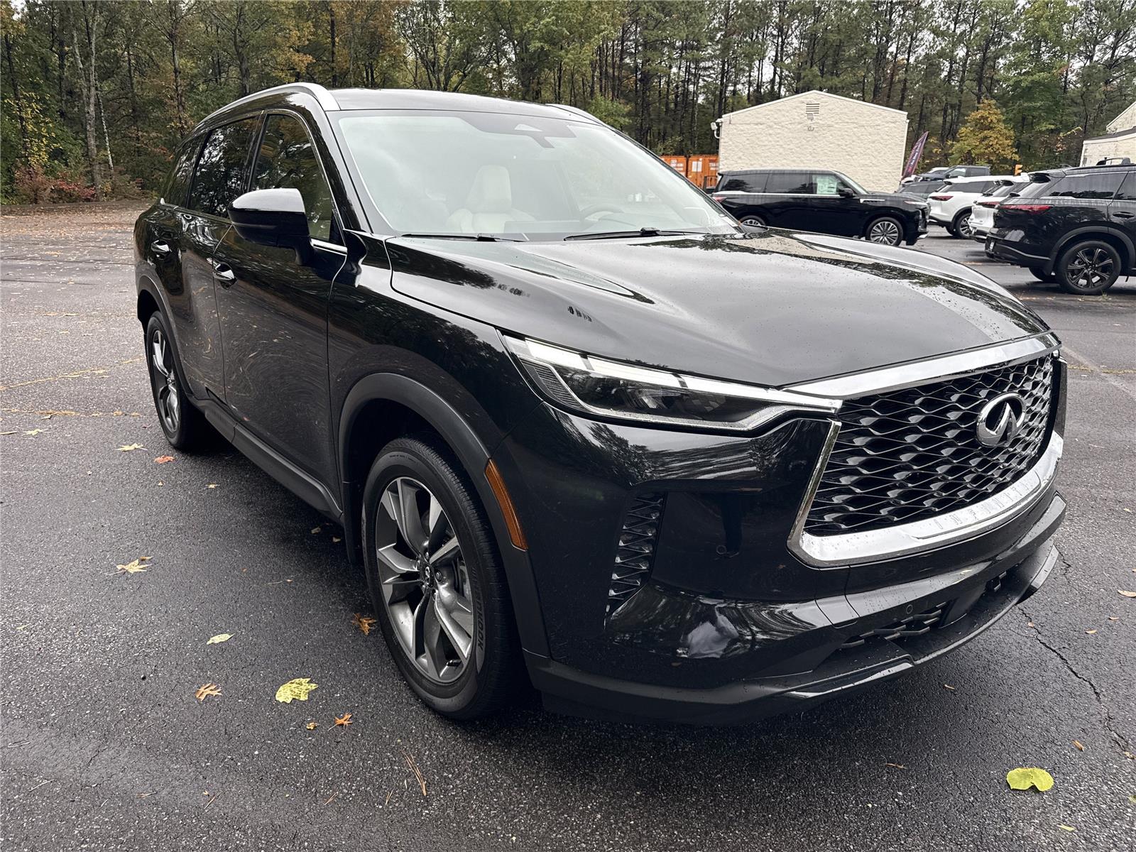 2025 Infiniti QX60 Luxe photo 3