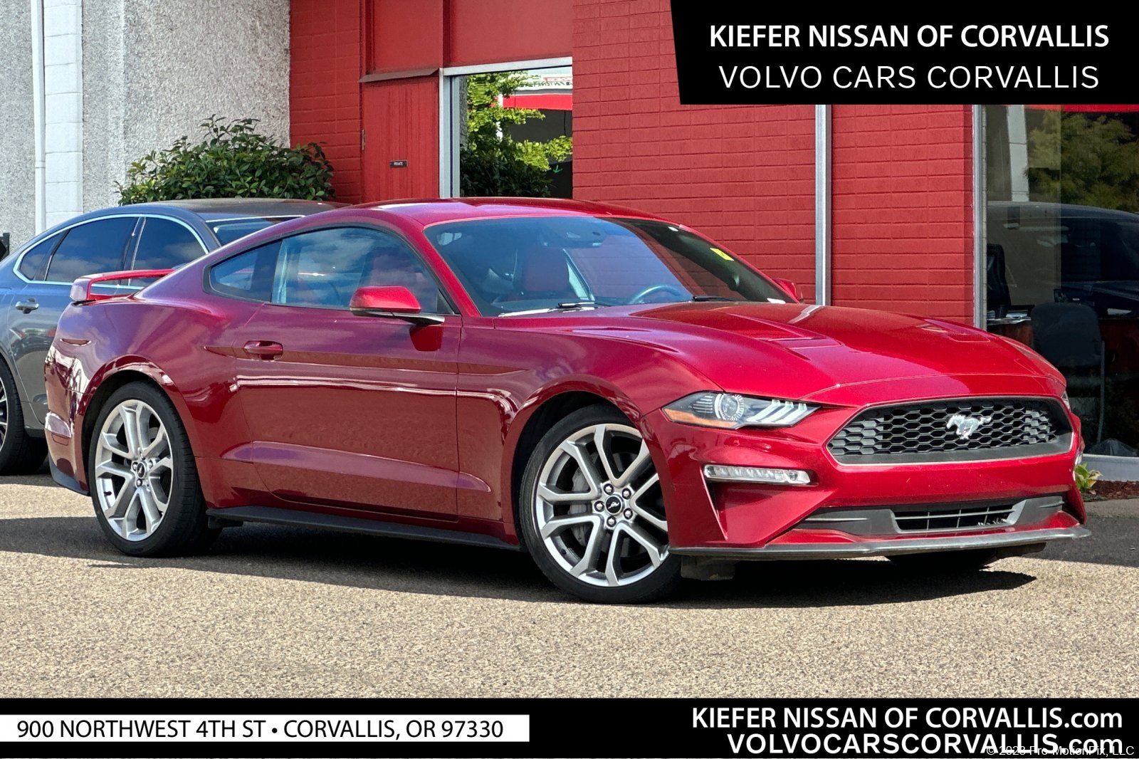 2019 Ford Mustang EcoBoost Premium's photo