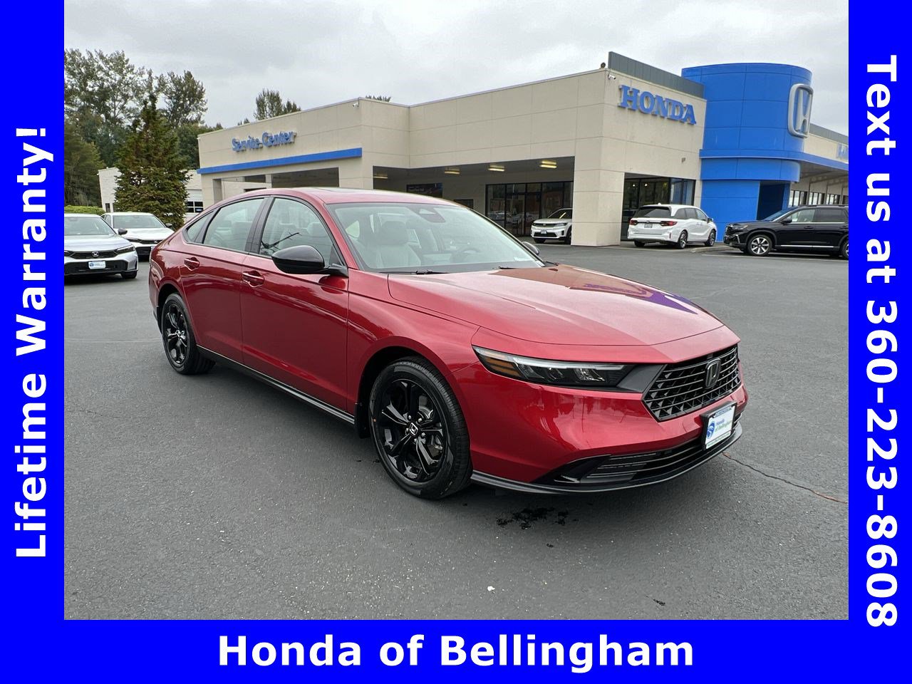 2025 Honda Accord SE's photo