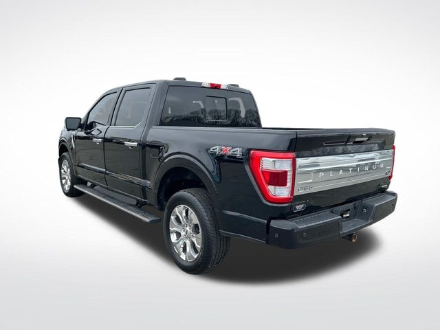 2023 Ford F-150 Platinum photo 6