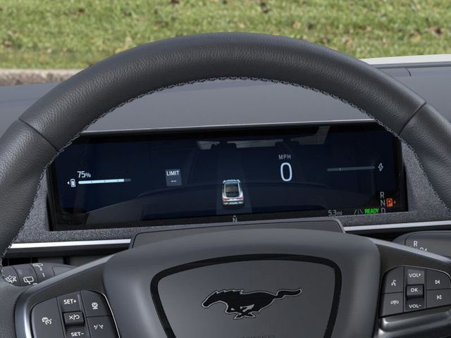 2025 Ford Mustang Mach-E GT photo 13
