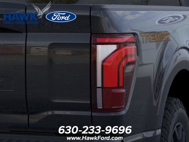 2025 FORD F-150 - Image 21