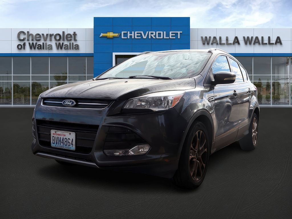 2016 Ford Escape Titanium photo 2