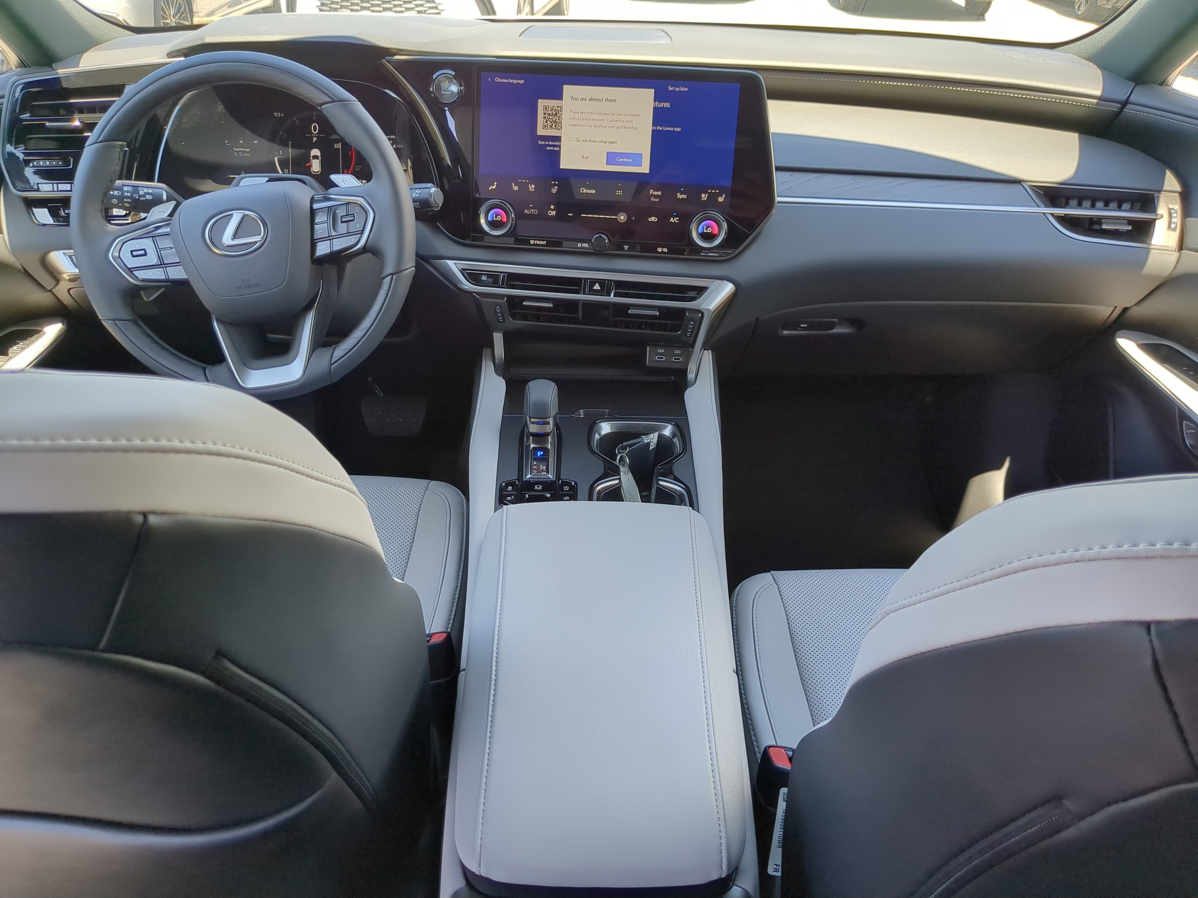 2025 Lexus RX 350 F SPORT photo 12