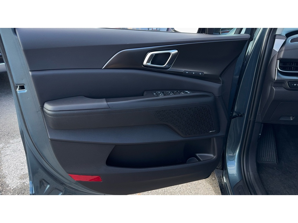 2026 Kia Carnival SX Prestige photo 18