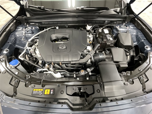 2025 Mazda CX-50 2.5 Premium Plus photo 22
