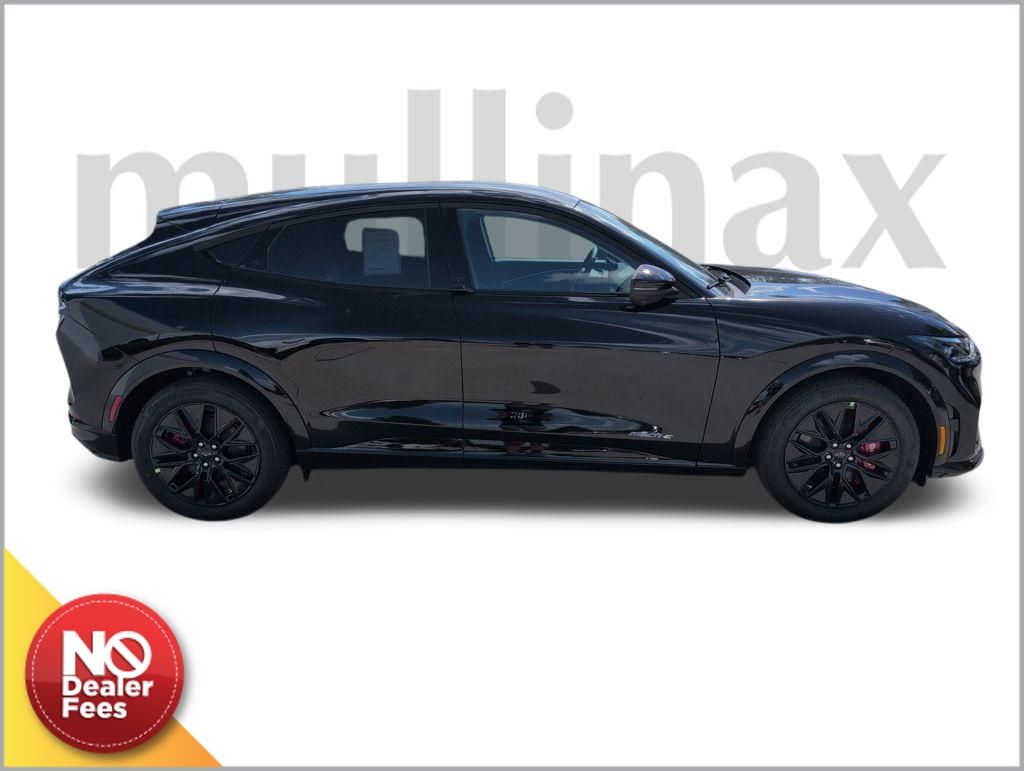 2025 Ford Mustang Mach-E Premium photo 2