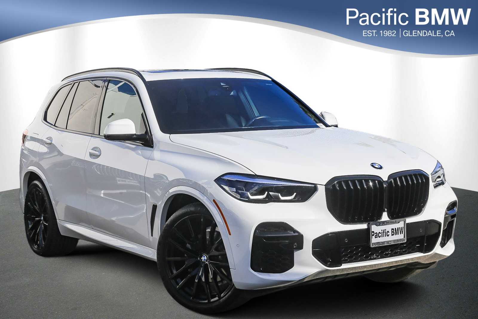 2023 BMW X5 40i's photo