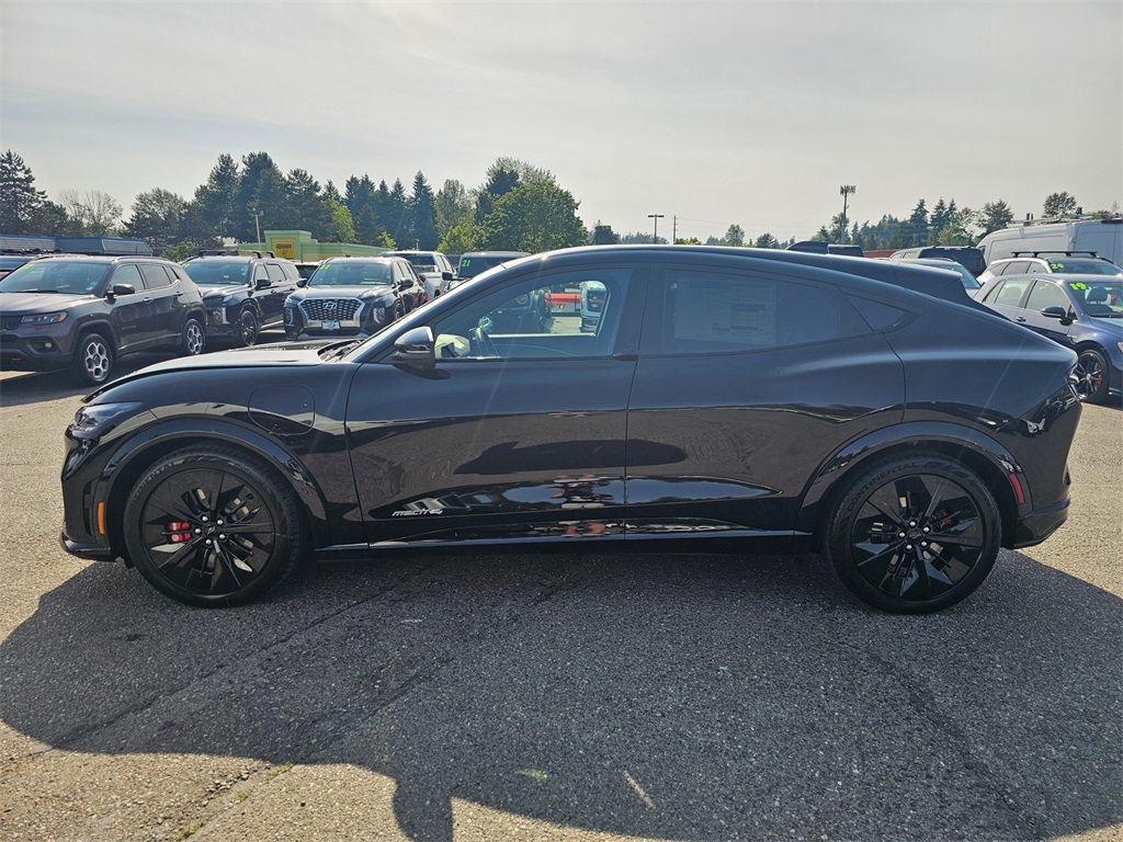 2025 Ford Mustang Mach-E GT photo 3