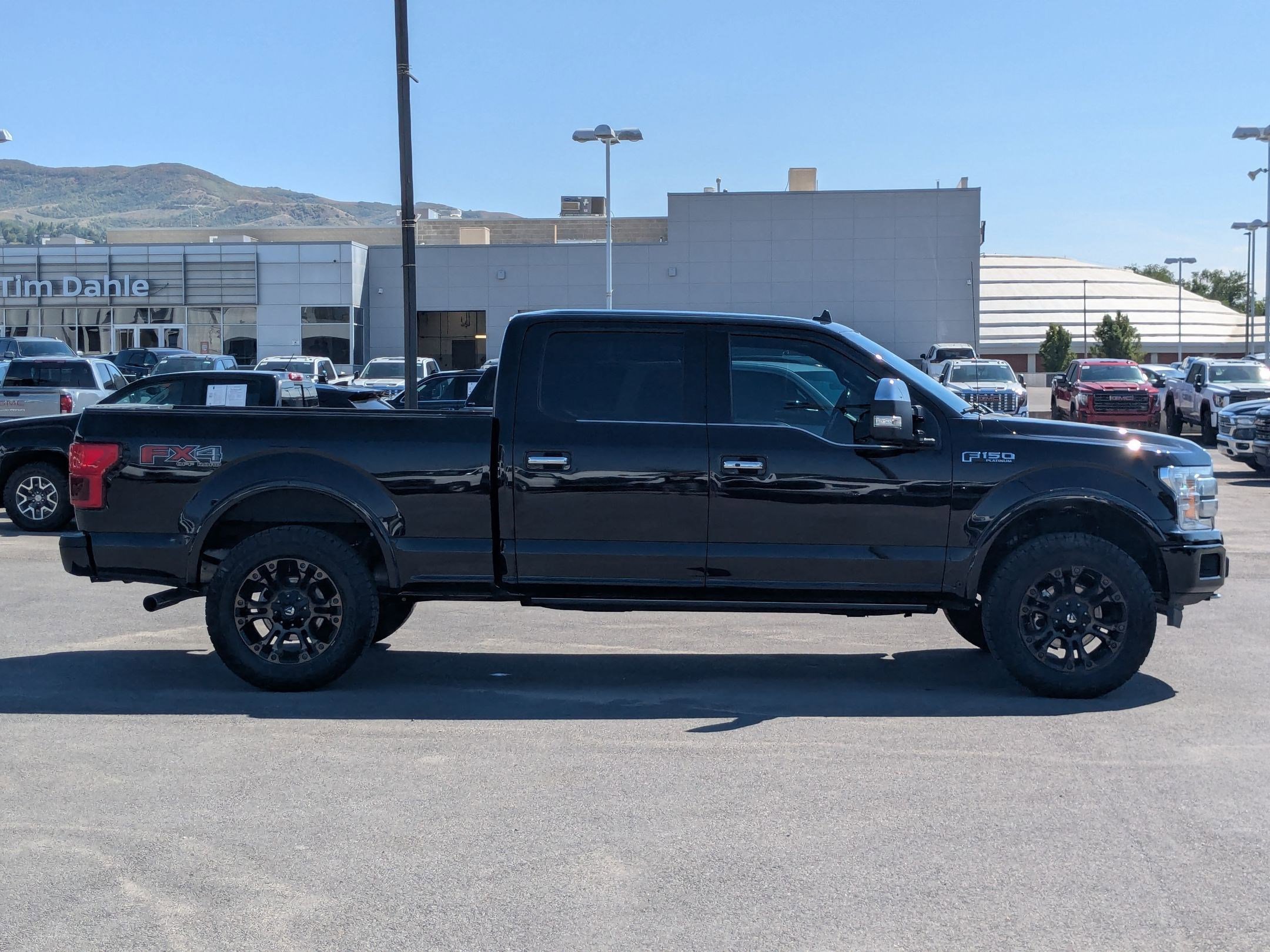 2020 Ford F-150 Platinum photo 6