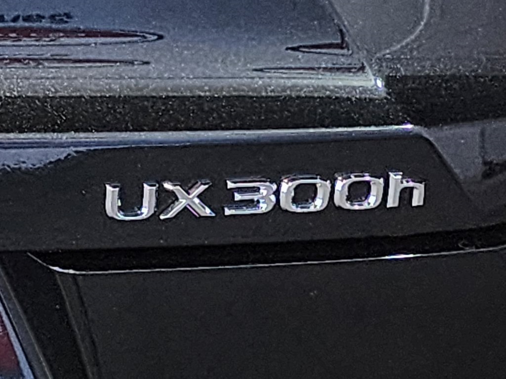 2025 Lexus UX photo 10