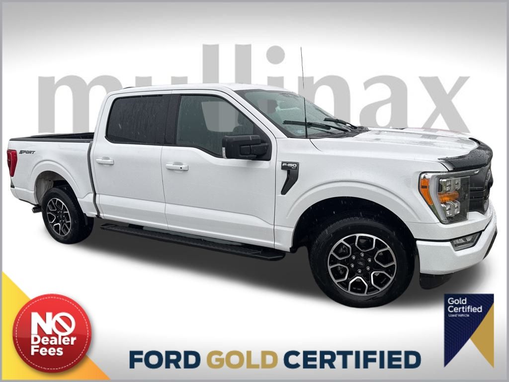 2023 Ford F-150 XLT's photo