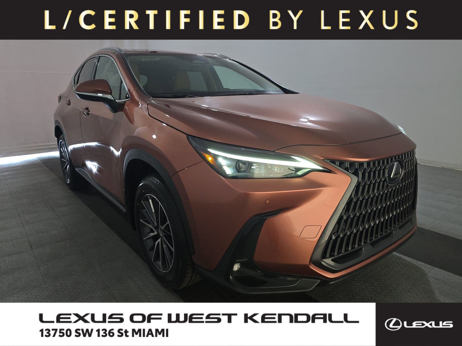 2025 Lexus NX 350's photo