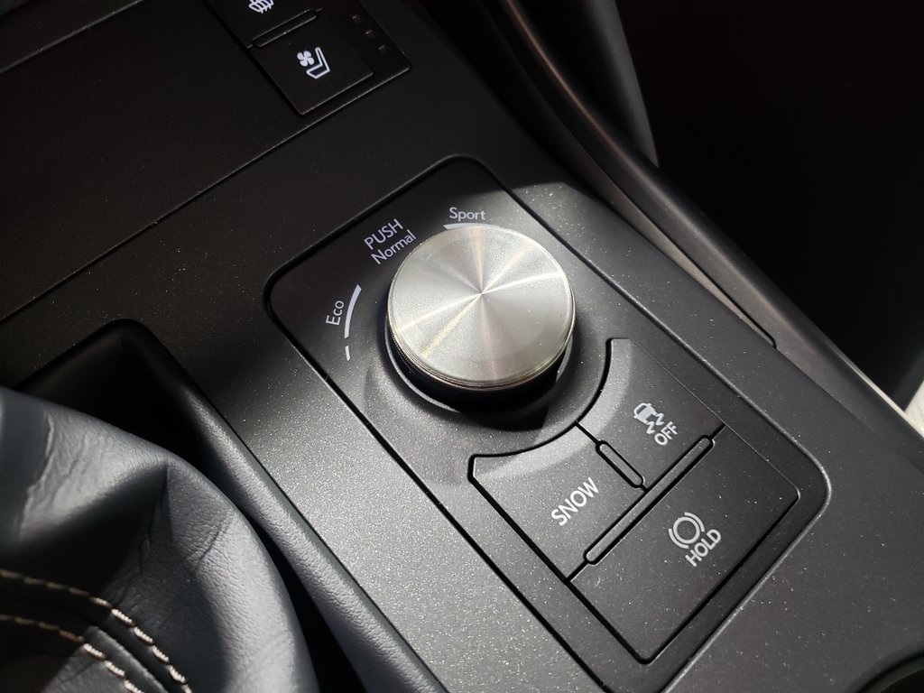 2025 Lexus IS 300 F SPORT photo 24