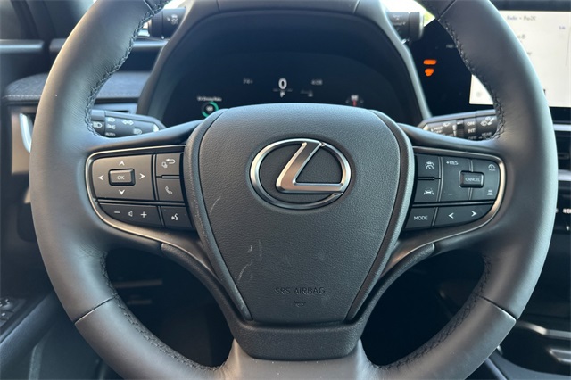 2025 Lexus UX Premium photo 20