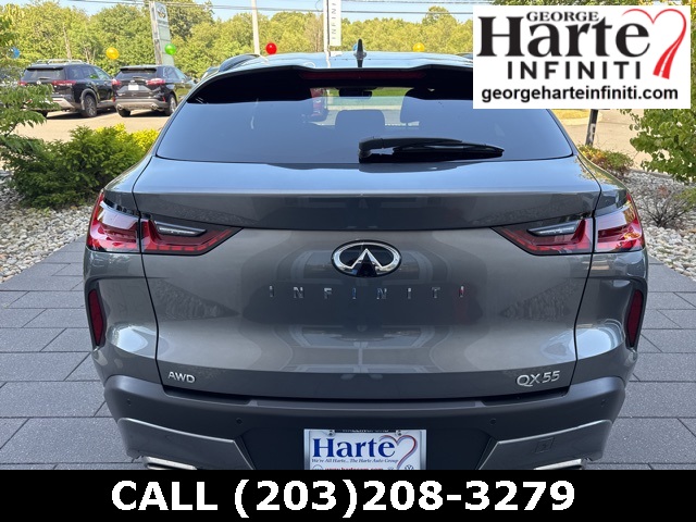 2025 Infiniti QX55 Luxe photo 6
