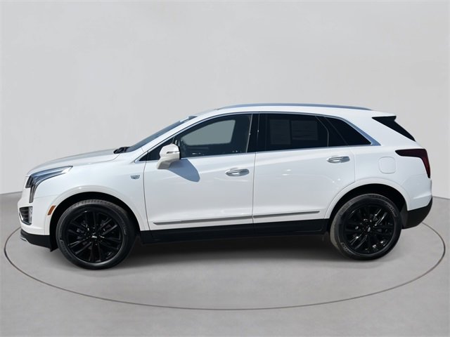 2023 Cadillac XT5 Premium Luxury photo 2