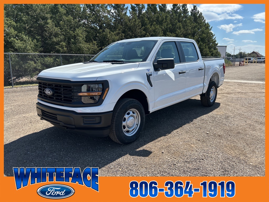 2025 Ford F-150 XL photo 2