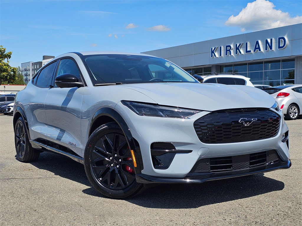 2025 Ford Mustang Mach-E Premium AWD's photo