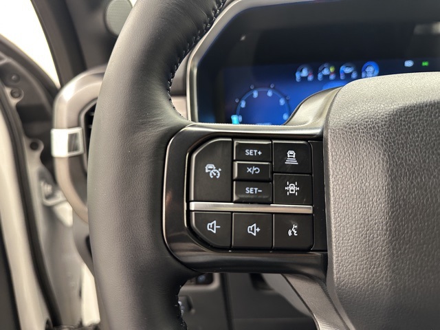 2025 Ford F-150 Platinum photo 37
