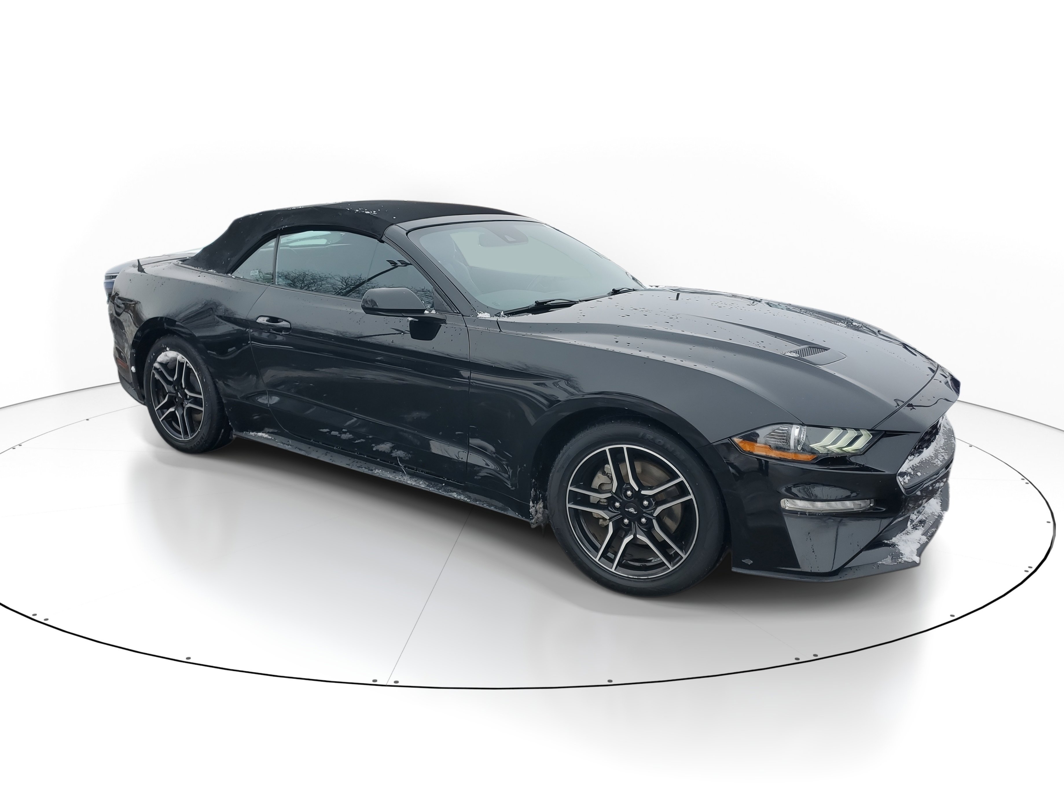 2023 Ford Mustang EcoBoost Premium's photo