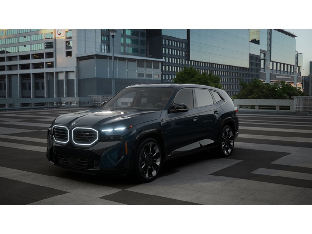 Used 2025 Petrol Mica Metallic BMW  image 1