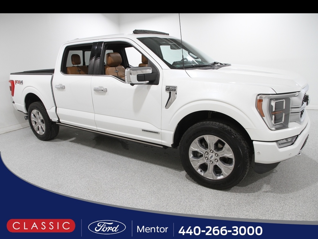 2021 Ford F-150 Platinum's photo