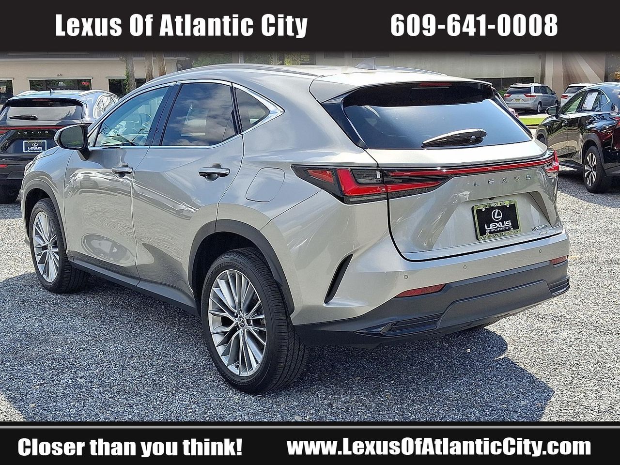 2025 Lexus NX 350 Premium photo 4
