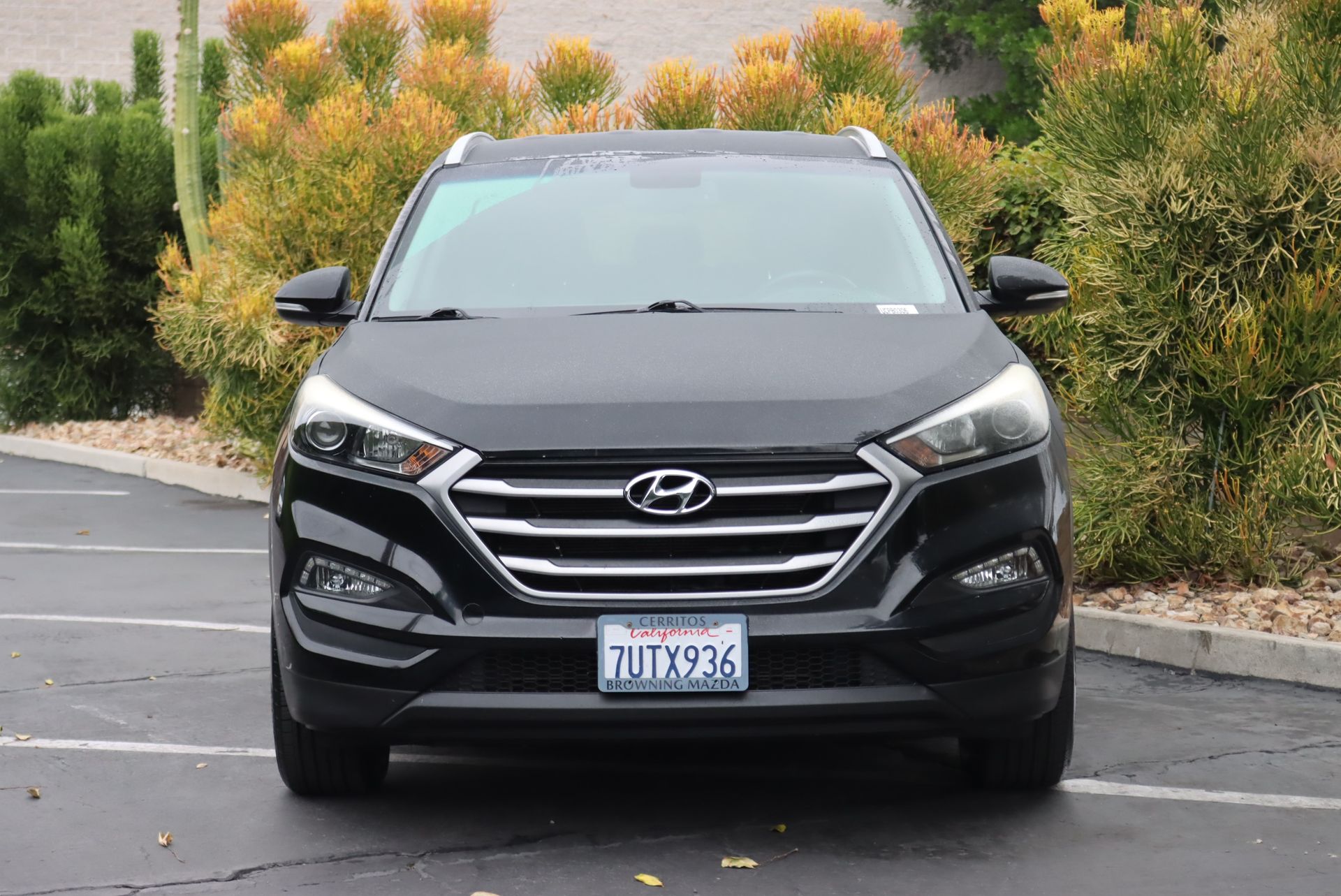 2017 Hyundai Tucson SE Plus photo 3