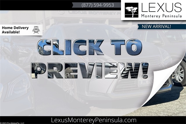 2019 Lexus RX 350's photo