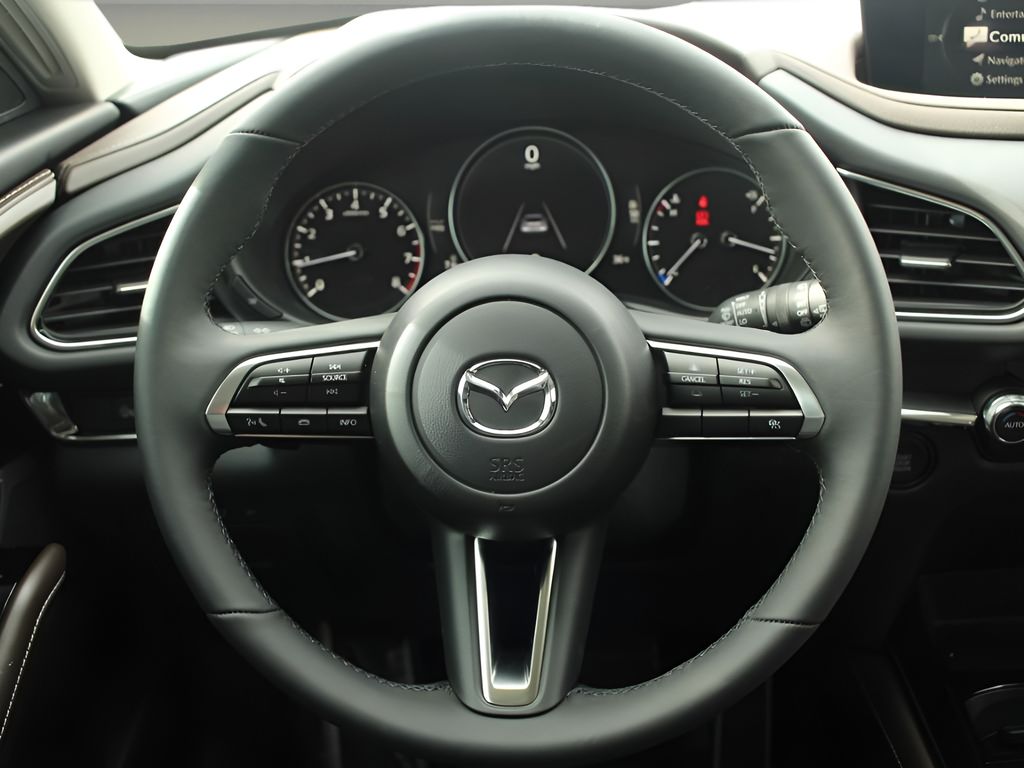 2025 Mazda CX-30 2.5 S Premium photo 19