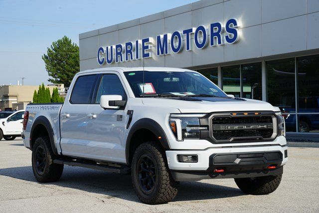 2025 FORD F-150 - Image 23