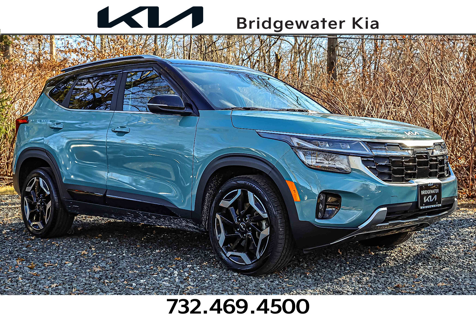 2024 Kia Seltos SX's photo