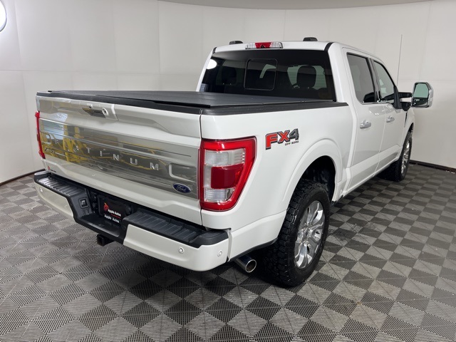 2021 Ford F-150 Platinum photo 3