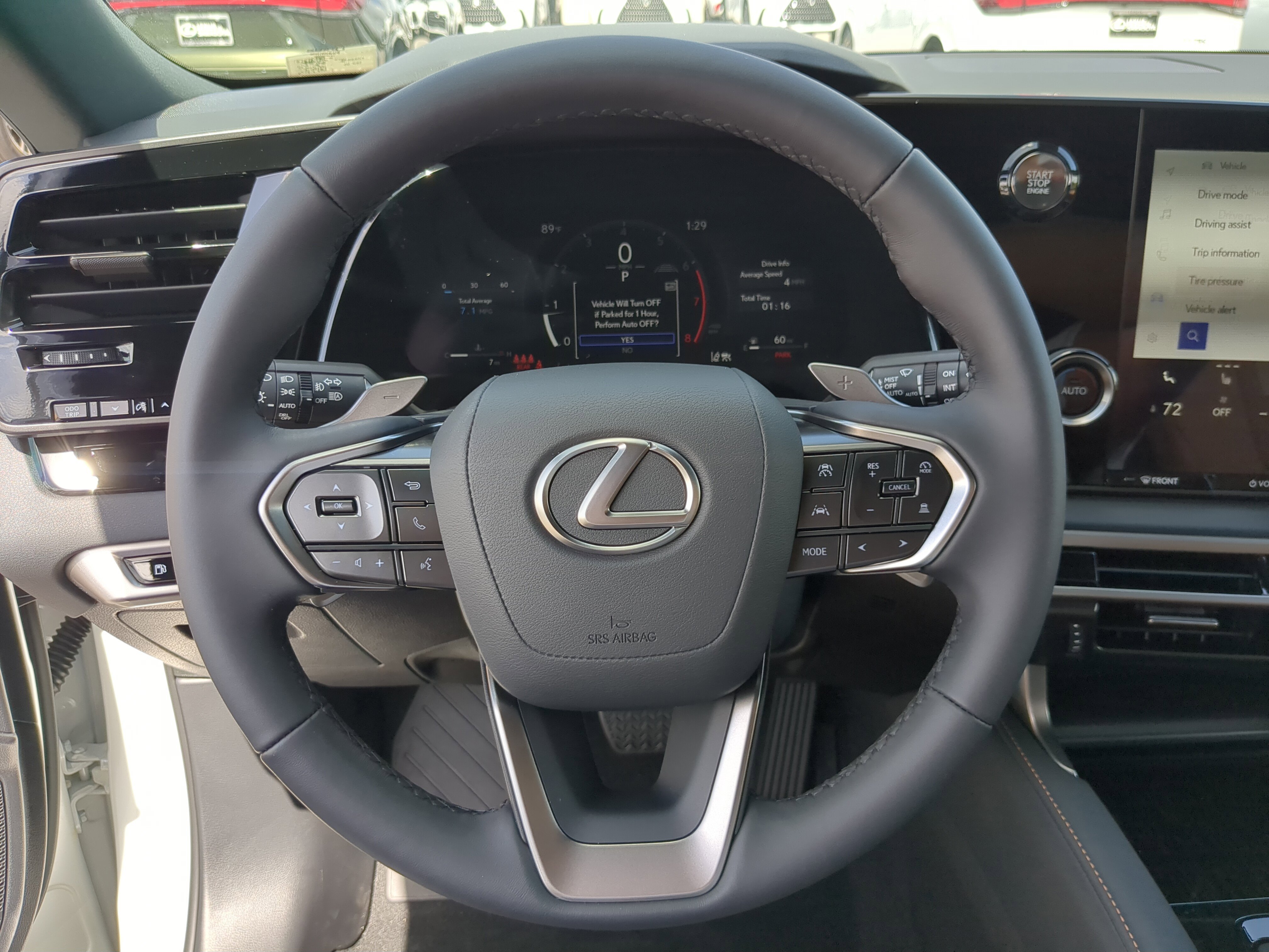 2025 Lexus RX 350 photo 20