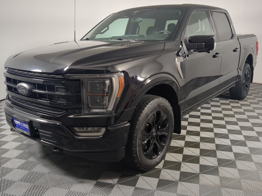2022 Ford F-150 Platinum photo 3