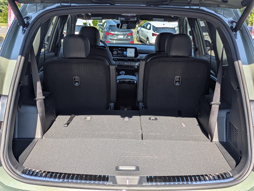 2025 Kia Telluride SX photo 10