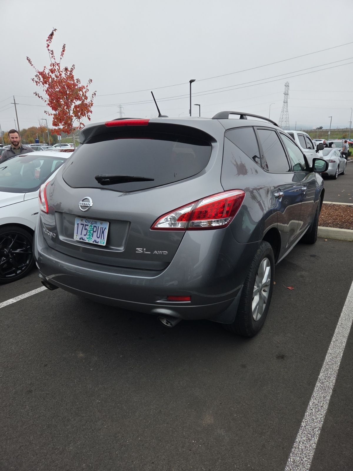 2014 Nissan Murano SL photo 3