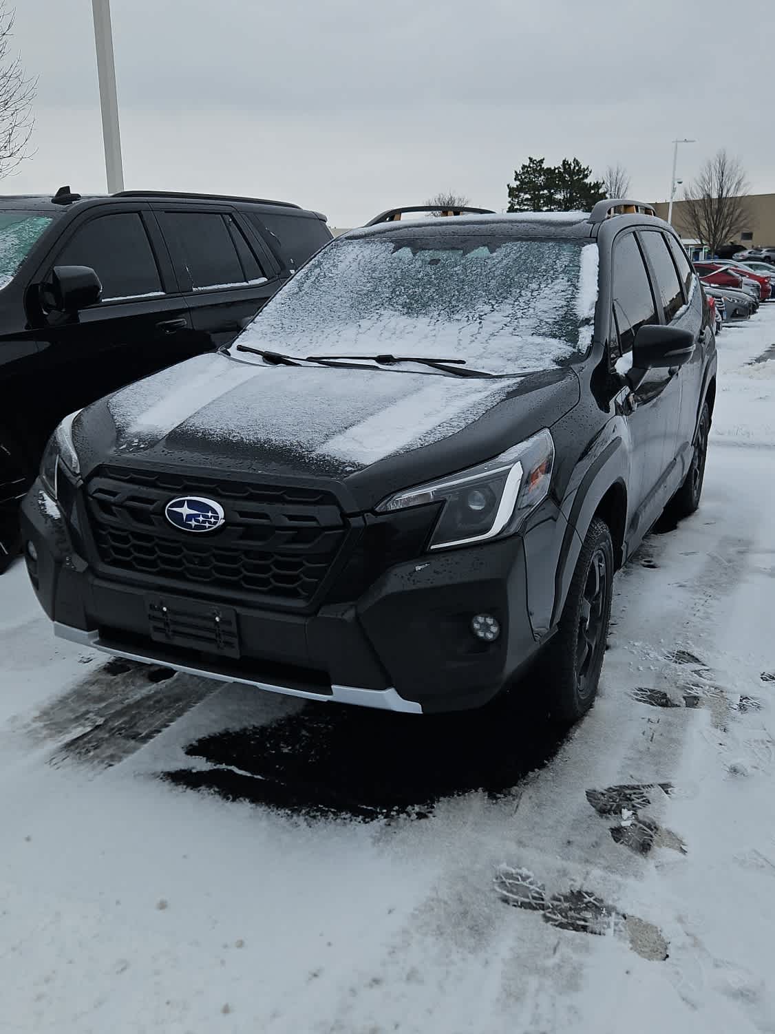2023 Subaru Forester Wilderness's photo