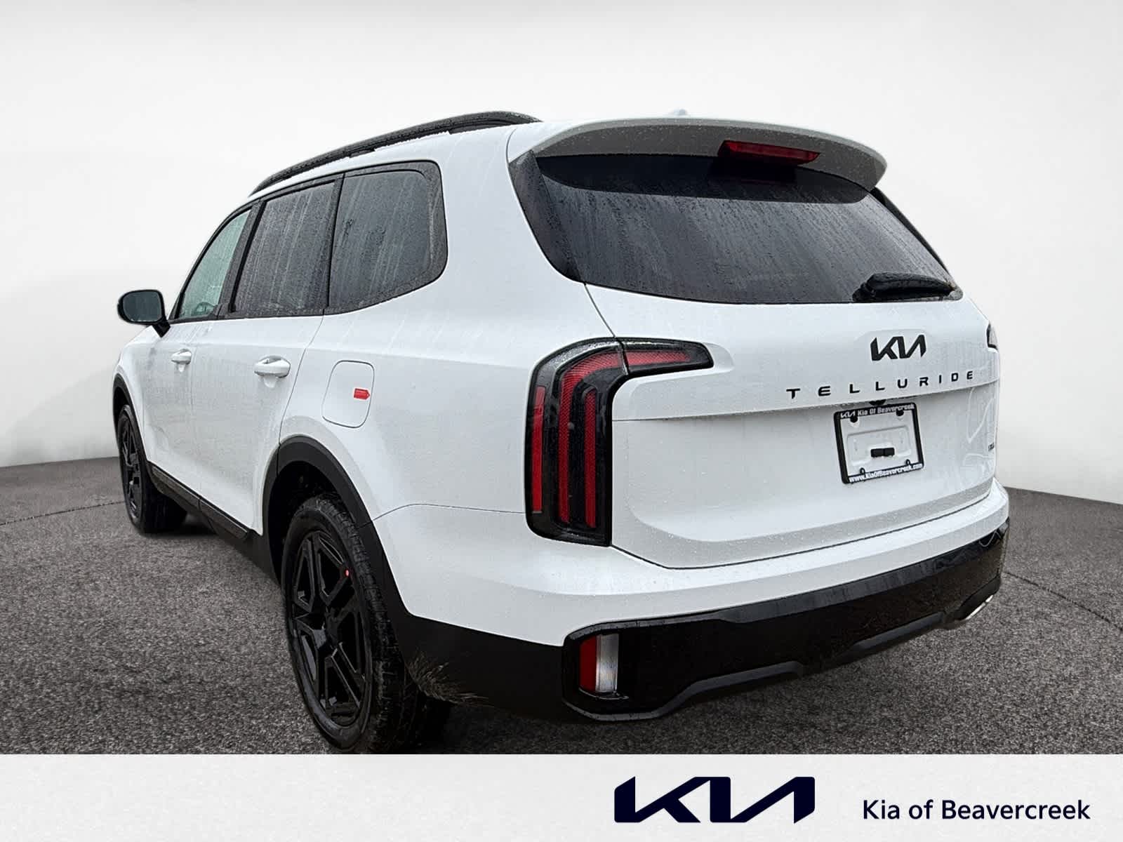 2025 Kia Telluride SX X-Line photo 3
