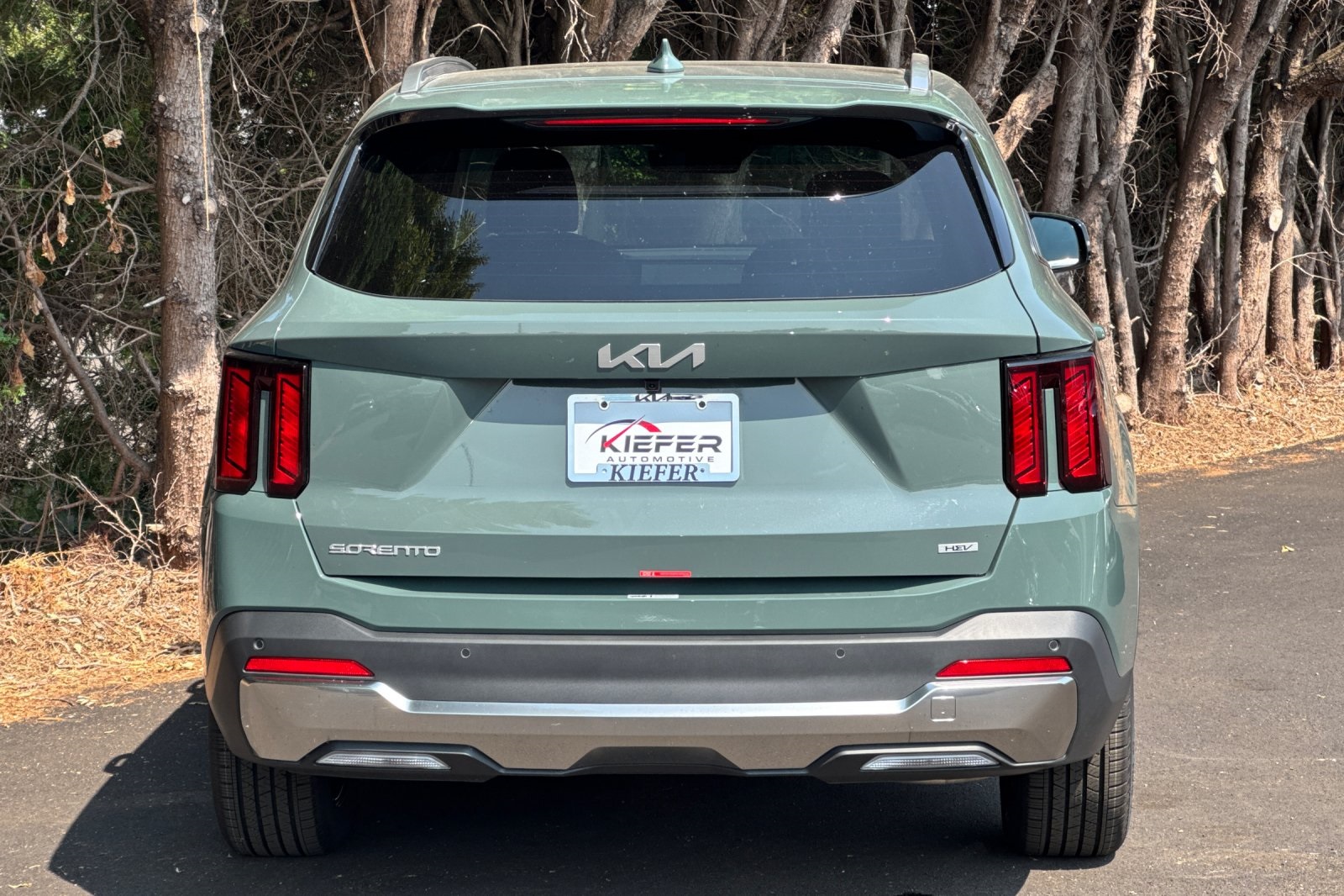 2025 Kia Sorento Hybrid EX photo 3